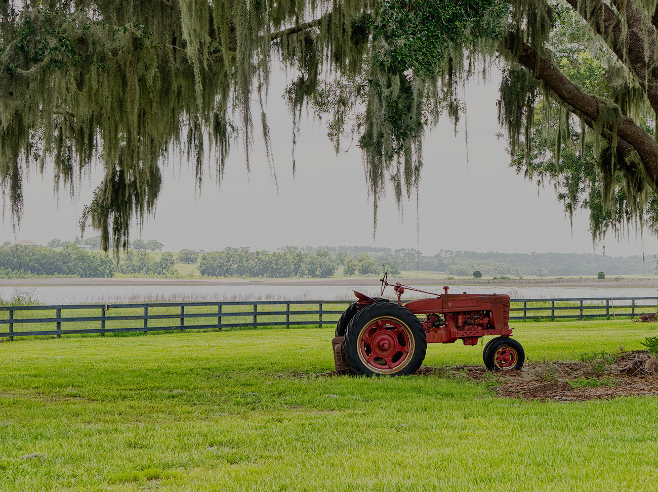 Red vintage tractor beneath moss-covered oak trees overlooking the lake at Covington Farm.